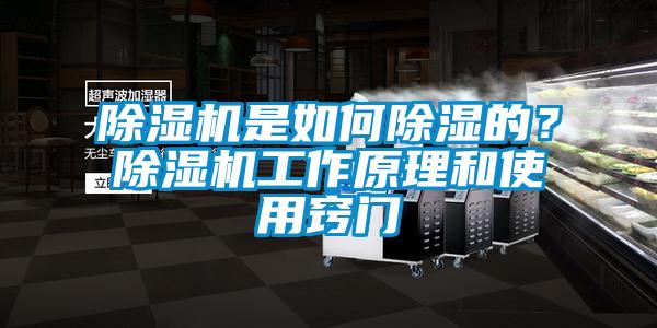 除濕機(jī)是如何除濕的？除濕機(jī)工作原理和使用竅門