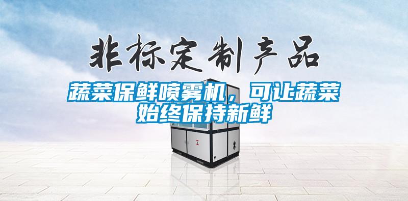 蔬菜保鮮噴霧機，可讓蔬菜始終保持新鮮