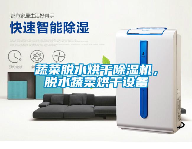 蔬菜脫水烘干除濕機(jī)，脫水蔬菜烘干設(shè)備