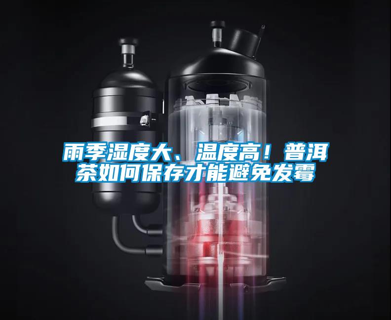 雨季濕度大、溫度高！普洱茶如何保存才能避免發霉