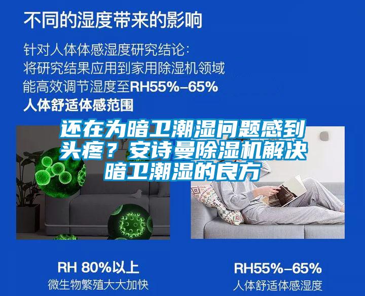 還在為暗衛(wèi)潮濕問題感到頭疼？安詩曼除濕機解決暗衛(wèi)潮濕的良方