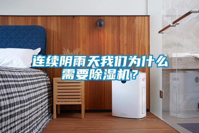 連續(xù)陰雨天我們?yōu)槭裁葱枰凉駲C(jī)？
