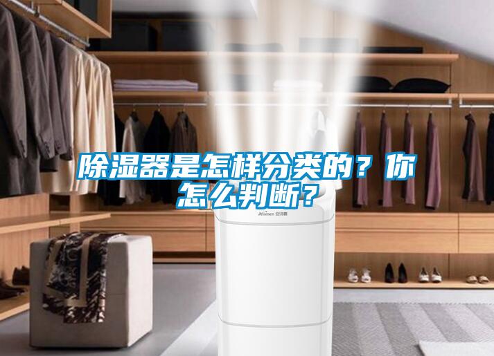 除濕器是怎樣分類的？你怎么判斷？