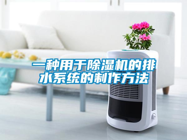一種用于除濕機的排水系統(tǒng)的制作方法