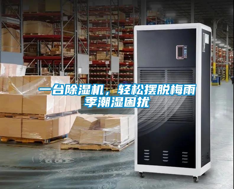 一臺除濕機，輕松擺脫梅雨季潮濕困擾
