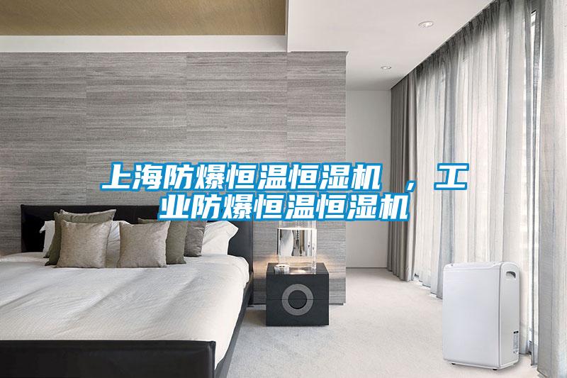 上海防爆恒溫恒濕機(jī) ，工業(yè)防爆恒溫恒濕機(jī)