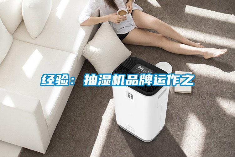 經驗：抽濕機品牌運作之