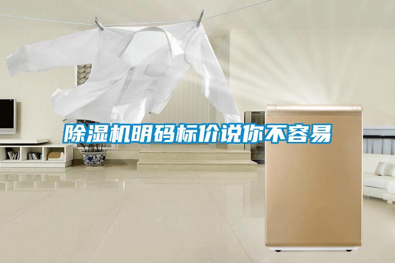 除濕機(jī)明碼標(biāo)價說你不容易