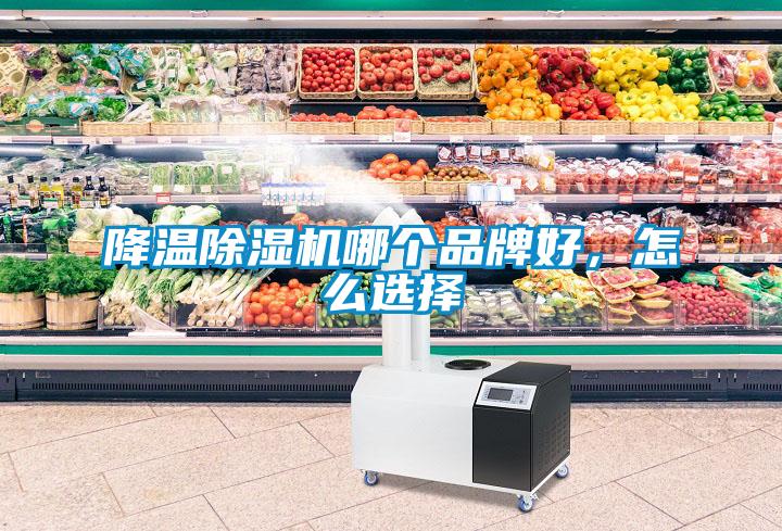 降溫除濕機哪個品牌好，怎么選擇