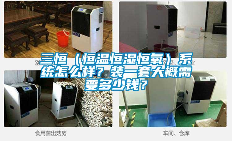 三恒（恒溫恒濕恒氧）系統怎么樣？裝一套大概需要多少錢？
