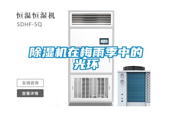 除濕機在梅雨季中的光環