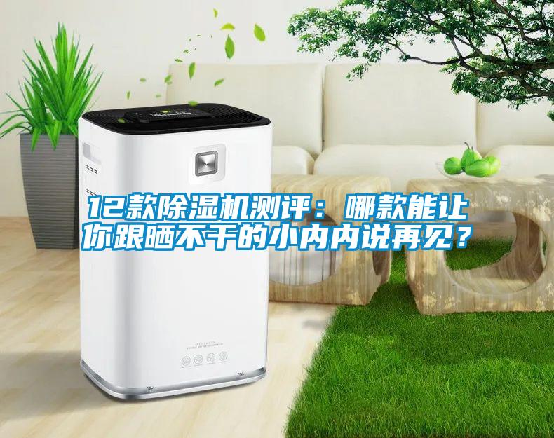 12款除濕機(jī)測(cè)評(píng)：哪款能讓你跟曬不干的小內(nèi)內(nèi)說再見？
