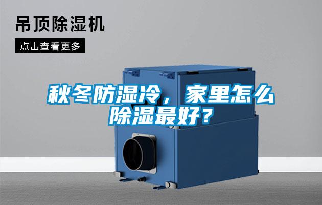 秋冬防濕冷，家里怎么除濕最好？
