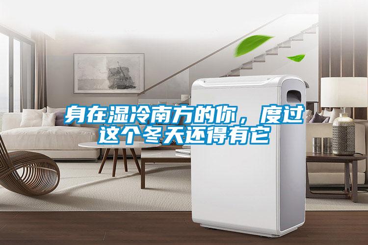 身在濕冷南方的你，度過這個冬天還得有它