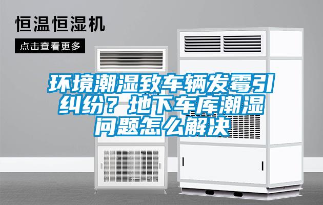 環(huán)境潮濕致車輛發(fā)霉引糾紛？地下車庫潮濕問題怎么解決