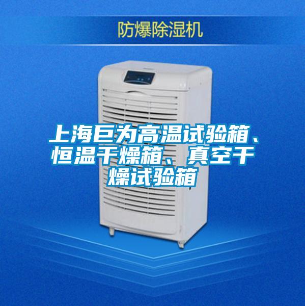 上海巨為高溫試驗(yàn)箱、恒溫干燥箱、真空干燥試驗(yàn)箱