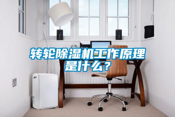 轉輪除濕機工作原理是什么？
