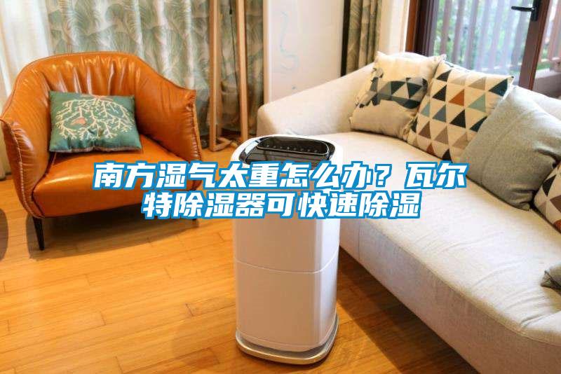 南方濕氣太重怎么辦？瓦爾特除濕器可快速除濕