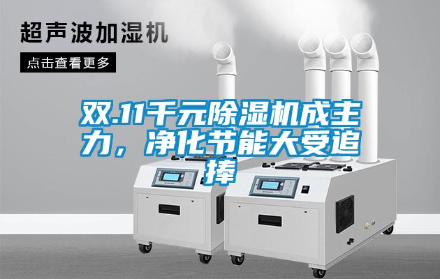 雙.11千元除濕機成主力，凈化節(jié)能大受追捧