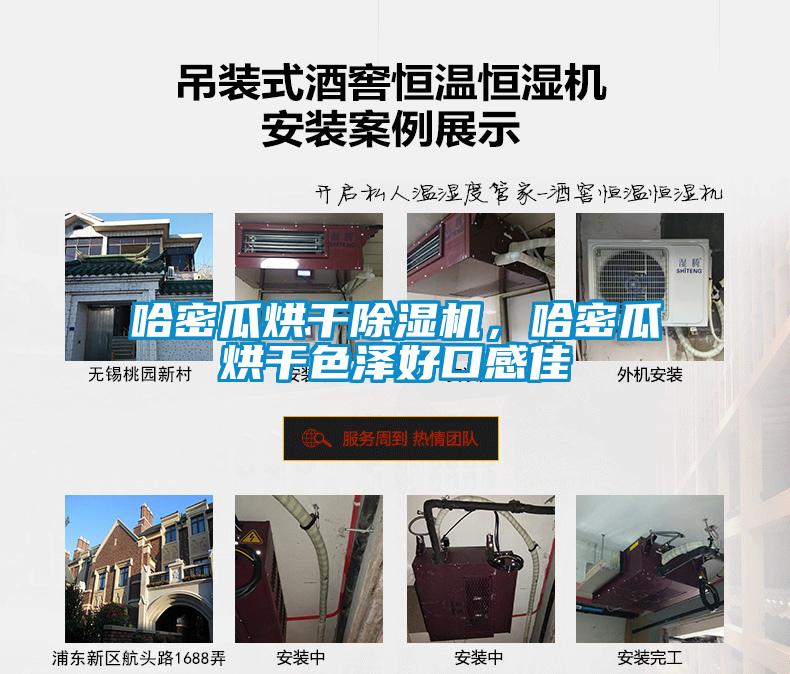 哈密瓜烘干除濕機(jī)，哈密瓜烘干色澤好口感佳