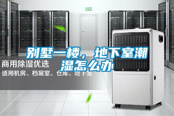 別墅一樓，地下室潮濕怎么辦