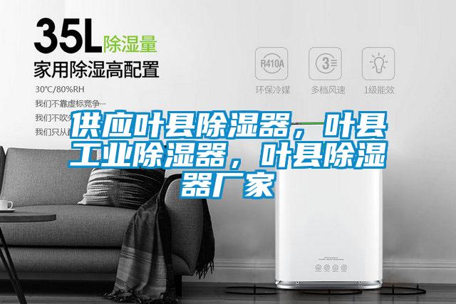 供應葉縣除濕器，葉縣工業除濕器，葉縣除濕器廠家