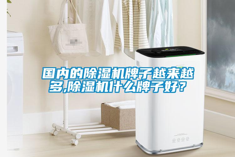 國內的除濕機牌子越來越多,除濕機什么牌子好？