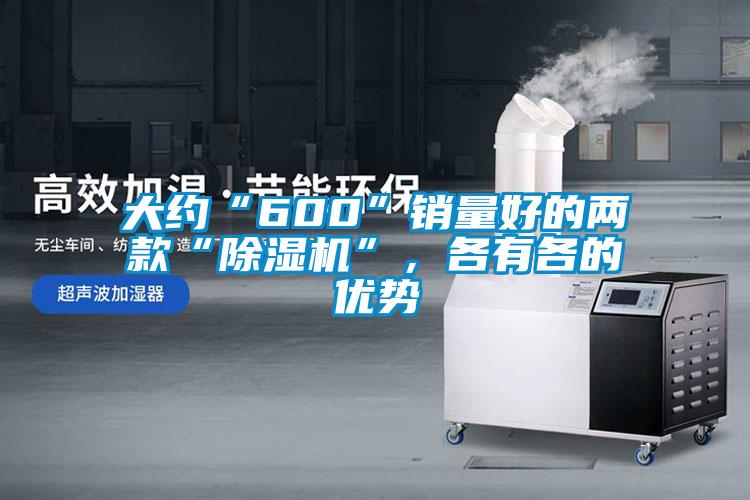 大約“600”銷量好的兩款“除濕機”，各有各的優勢