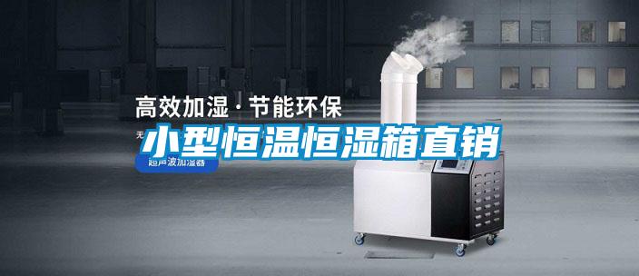 小型恒溫恒濕箱直銷(xiāo)