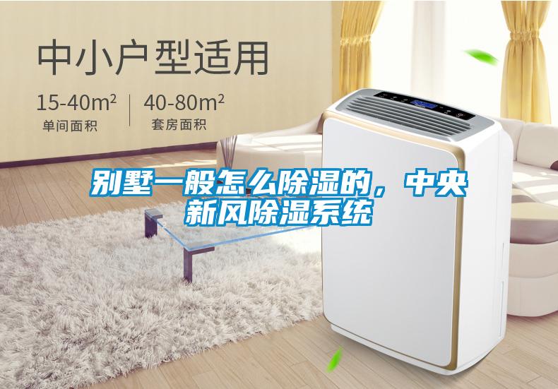 別墅一般怎么除濕的，中央新風除濕系統