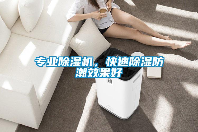 專(zhuān)業(yè)除濕機(jī)，快速除濕防潮效果好