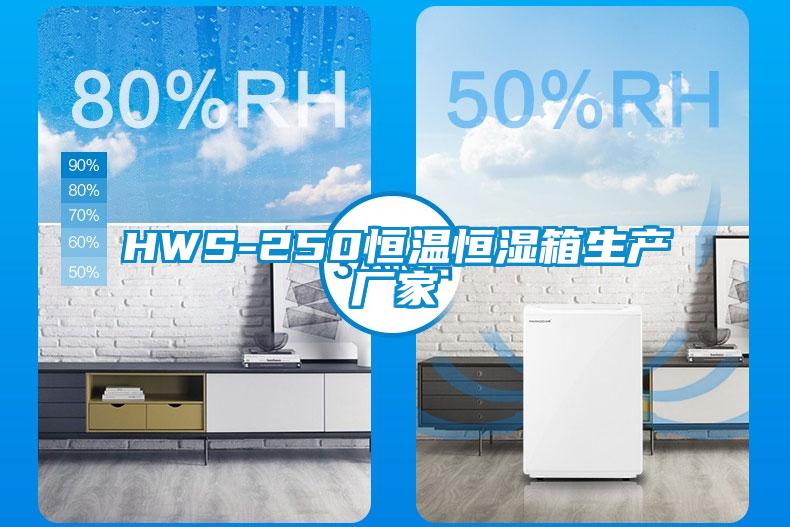 HWS-250恒溫恒濕箱生產廠家