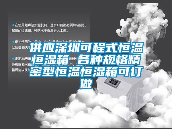 供應深圳可程式恒溫恒濕箱 各種規格精密型恒溫恒濕箱可訂做
