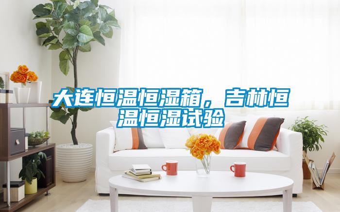 大連恒溫恒濕箱，吉林恒溫恒濕試驗(yàn)