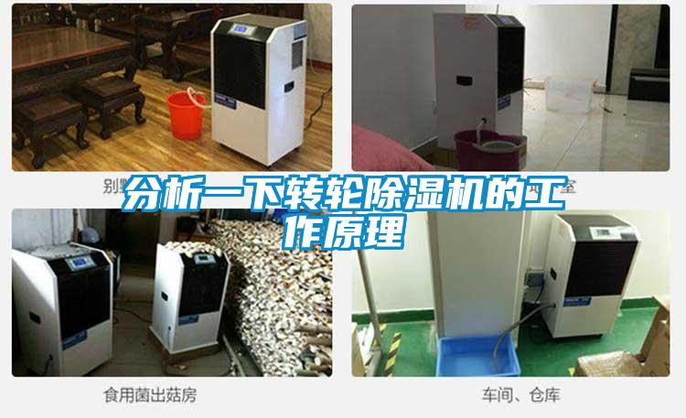 分析一下轉輪除濕機的工作原理