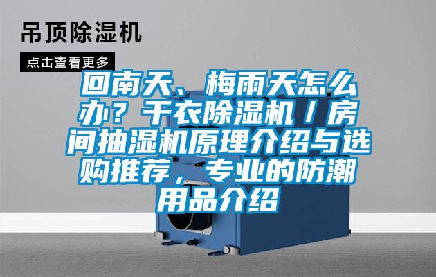 回南天、梅雨天怎么辦？干衣除濕機(jī)／房間抽濕機(jī)原理介紹與選購?fù)扑]，專業(yè)的防潮用品介紹