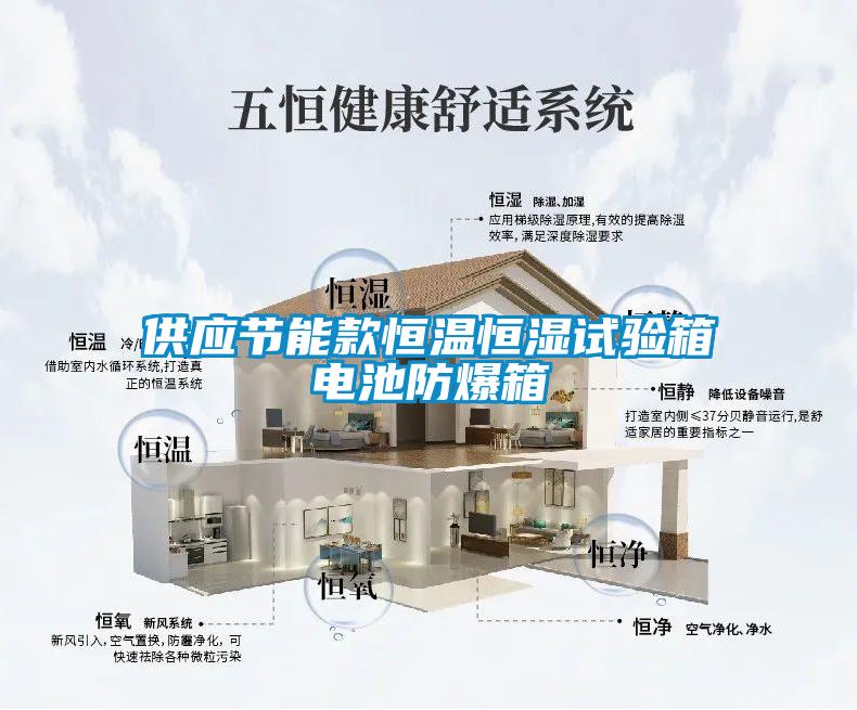 供應(yīng)節(jié)能款恒溫恒濕試驗(yàn)箱電池防爆箱