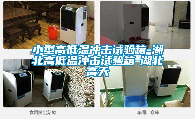 小型高低溫沖擊試驗(yàn)箱-湖北高低溫沖擊試驗(yàn)箱-湖北高天