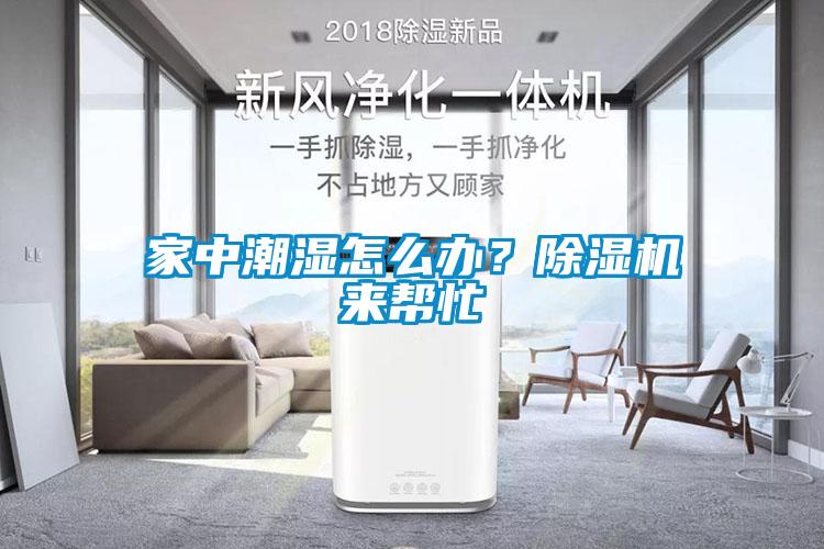 家中潮濕怎么辦？除濕機(jī)來幫忙