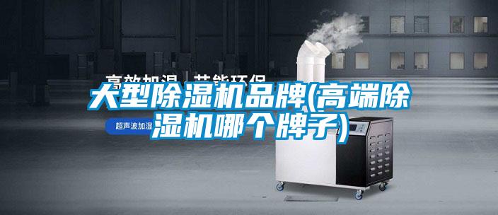 大型除濕機(jī)品牌(高端除濕機(jī)哪個牌子)
