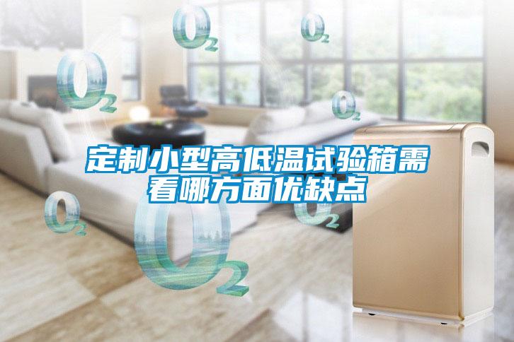 定制小型高低溫試驗箱需看哪方面優缺點