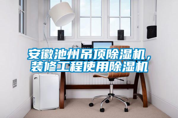 安徽池州吊頂除濕機(jī)，裝修工程使用除濕機(jī)