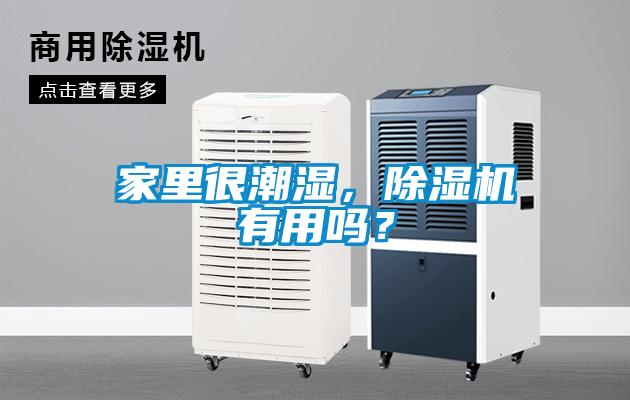 家里很潮濕，除濕機(jī)有用嗎？
