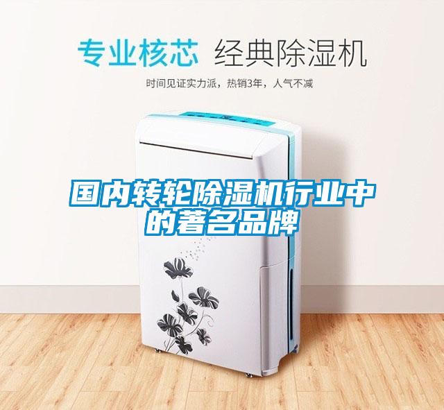 國內(nèi)轉(zhuǎn)輪除濕機(jī)行業(yè)中的著名品牌