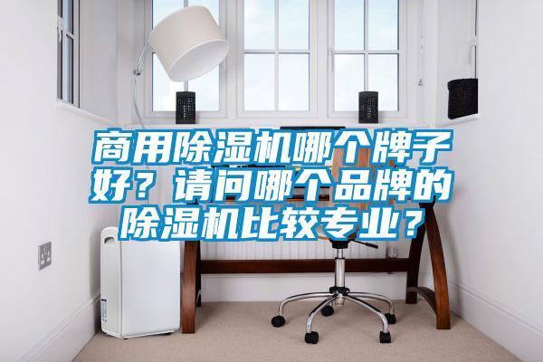 商用除濕機(jī)哪個(gè)牌子好？請(qǐng)問(wèn)哪個(gè)品牌的除濕機(jī)比較專業(yè)？