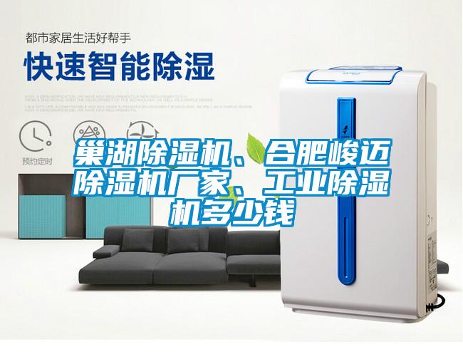 巢湖除濕機、合肥峻邁除濕機廠家、工業除濕機多少錢