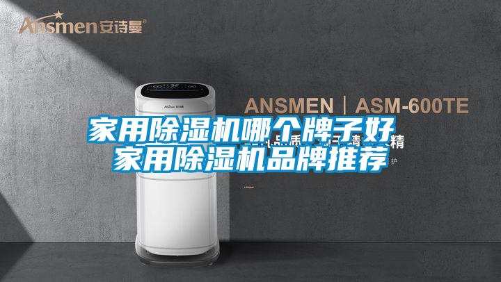 家用除濕機(jī)哪個牌子好 家用除濕機(jī)品牌推薦
