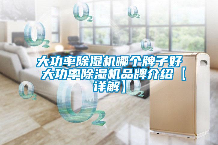 大功率除濕機(jī)哪個牌子好 大功率除濕機(jī)品牌介紹【詳解】