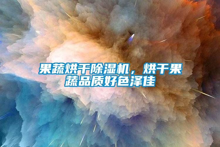 果蔬烘干除濕機(jī)，烘干果蔬品質(zhì)好色澤佳