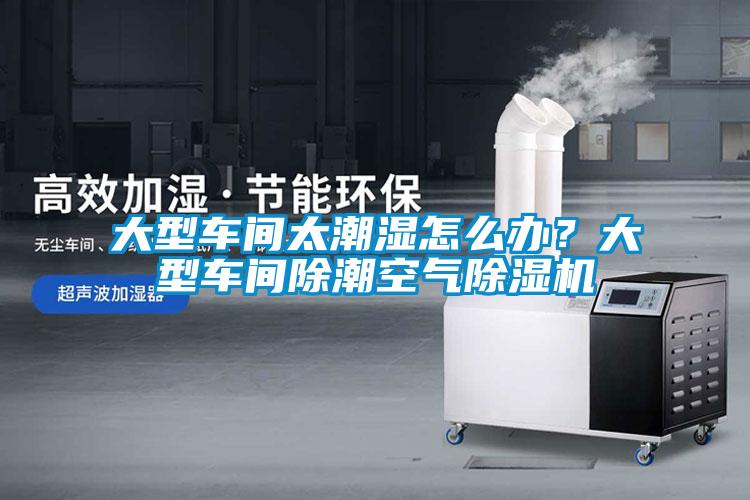 大型車間太潮濕怎么辦？大型車間除潮空氣除濕機(jī)
